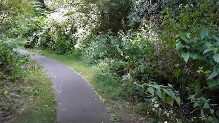 Elke dag wat anders te doen in de parken van Hillegersberg en Schiebroek