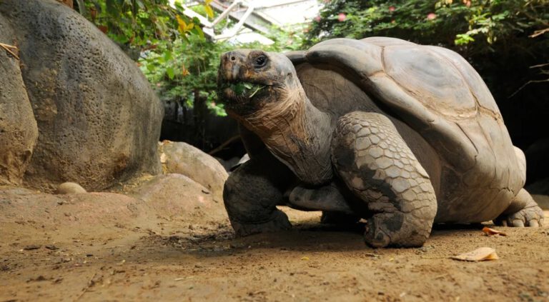 Afscheid van Leo, de oudste inwoner van Blijdorp