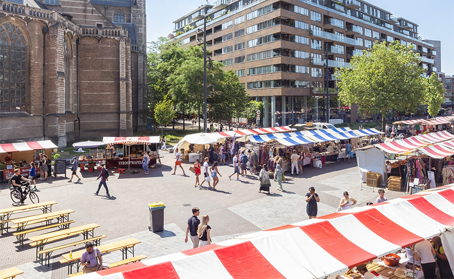 Swan Market strijkt weer neer op de Binnenrotte