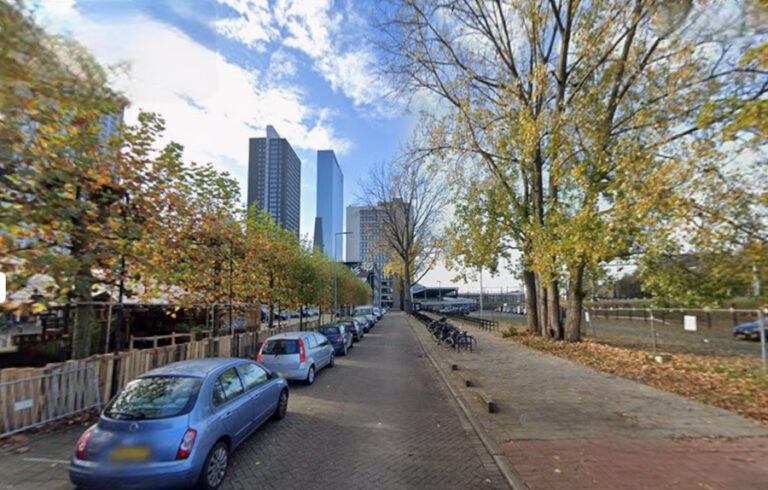 Leiplatanen rond Schiekadeblok krijgen nieuw leven in Lombardijen